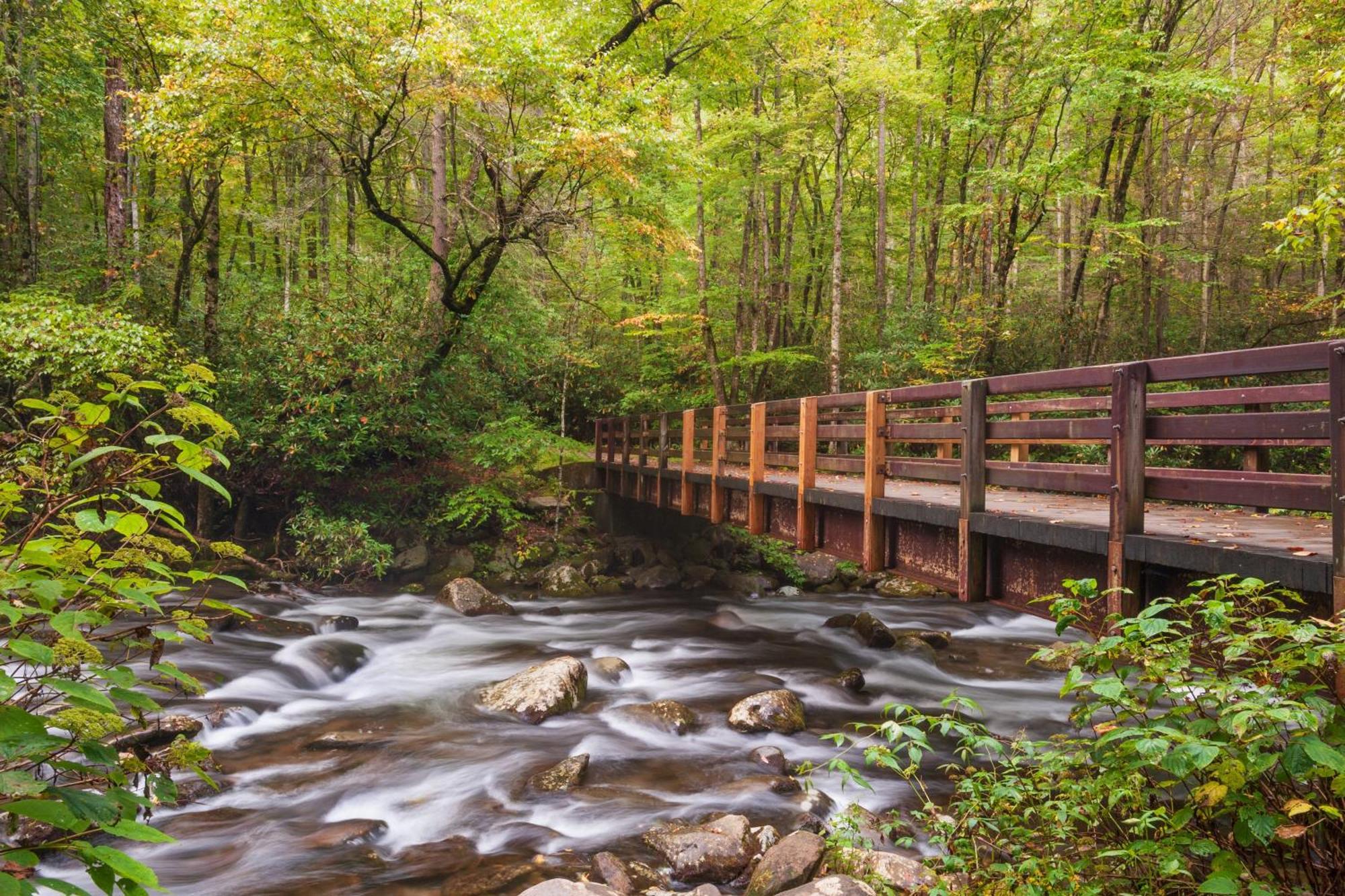 פיג'ן פורג' Glori'S Retreat, Game Room, 1089 Of Free Attraction Tickets For Each Paid Day, Dollywood And More מראה חיצוני תמונה